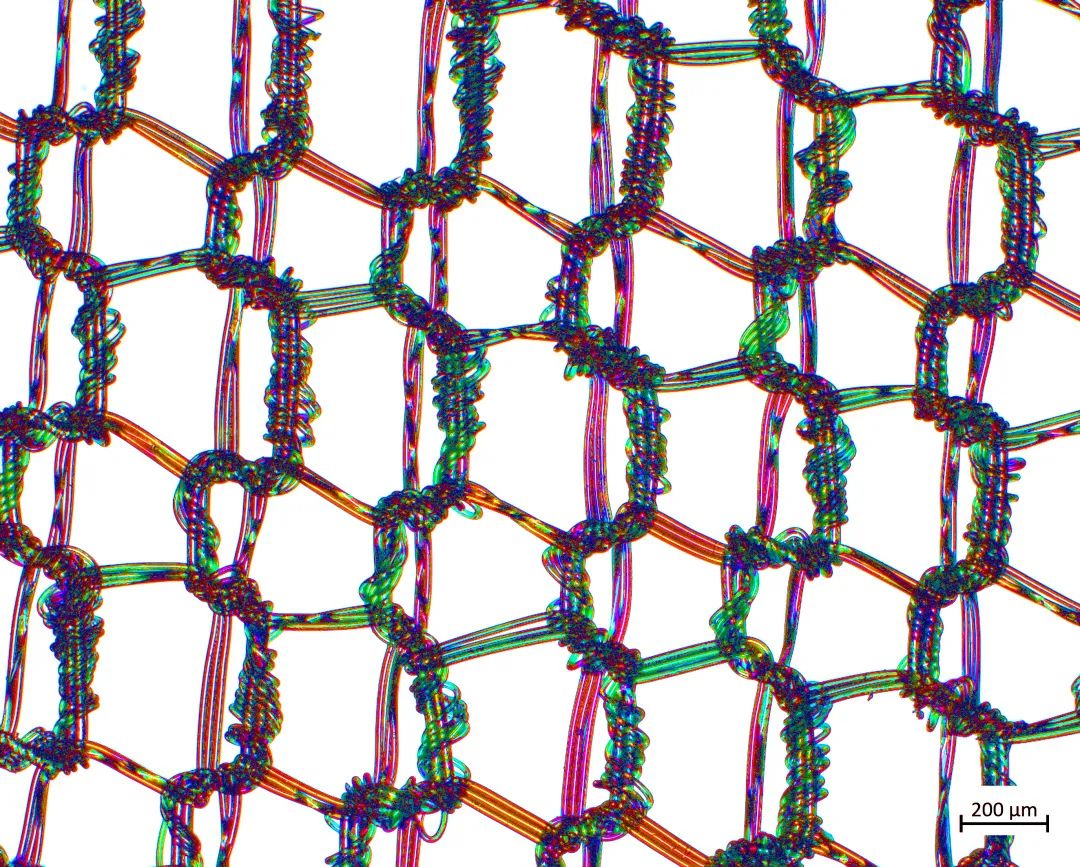 凉山蔡司场发射凉山扫描电镜