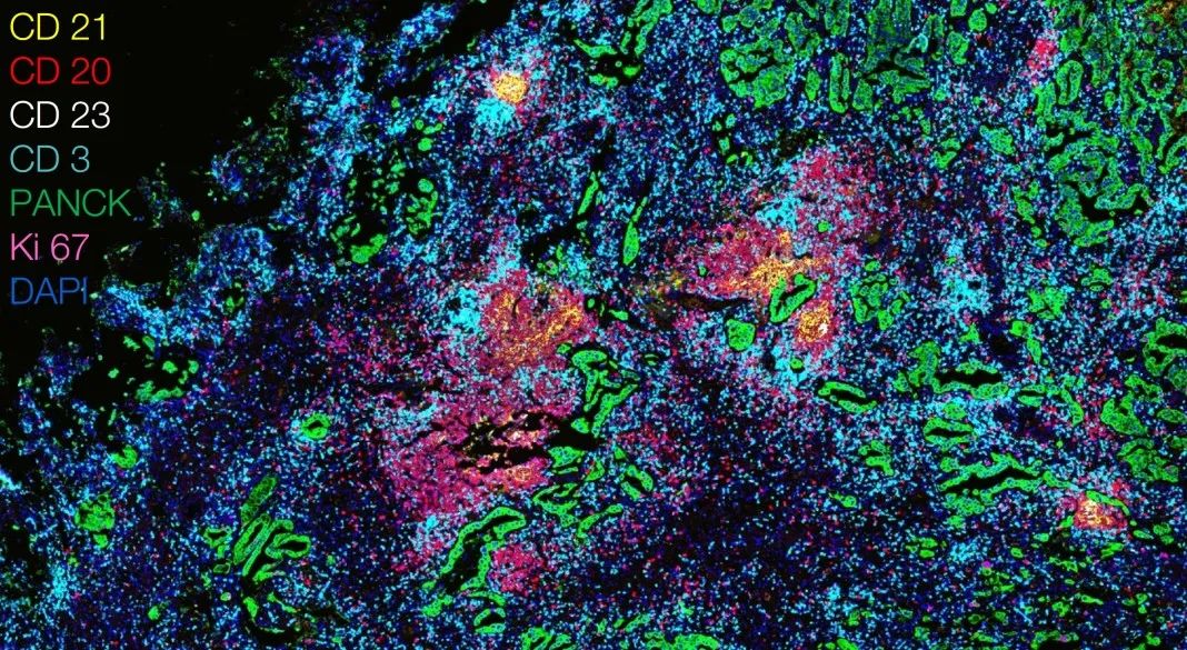 凉山凉山蔡司显微镜