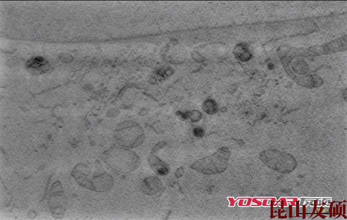 凉山蔡司双束电镜