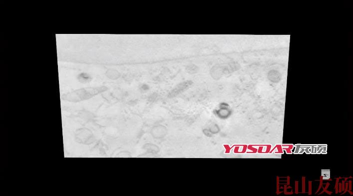 FIB凉山扫描电镜