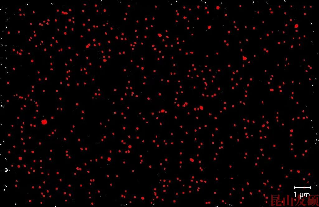 凉山凉山蔡司凉山扫描电镜