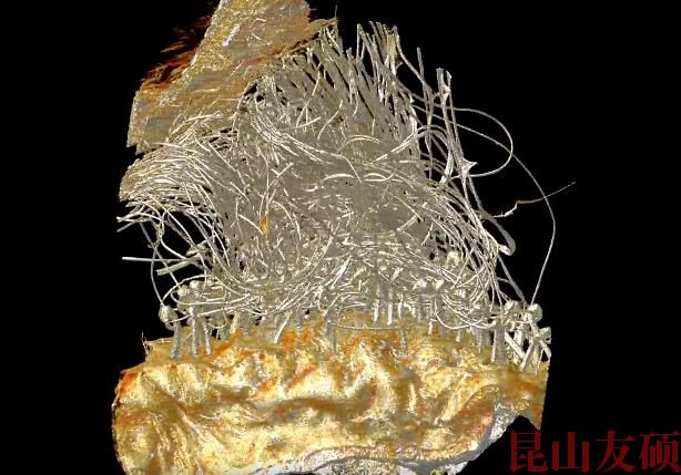 凉山蔡司凉山X射线显微镜