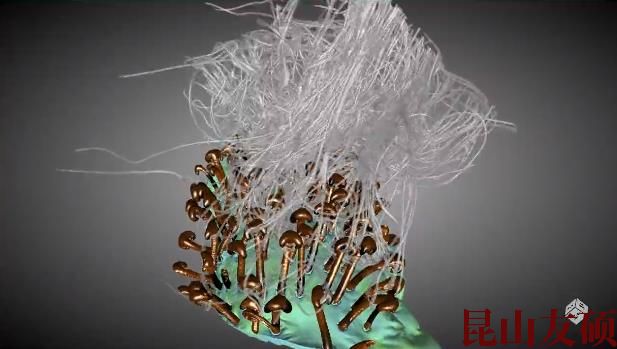 凉山蔡司凉山X射线显微镜